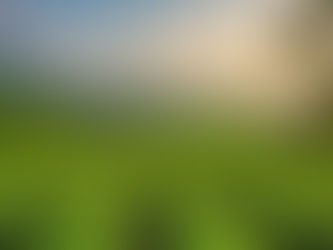 Elevate Your Tea Experience: Switch your breakfast tea to a single estaste Assam