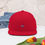 Thumbnail: Special Edition Bee Logo Snapback Cap