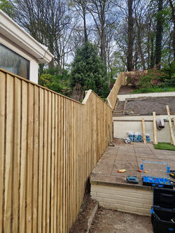 WhatsApp Image 2025-09-07 at 10.53.22_fd4edf1f