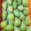 Thumbnail: Pear Fruit | Mara Sebu | ಮರ ಸೇಬು 1Kg
