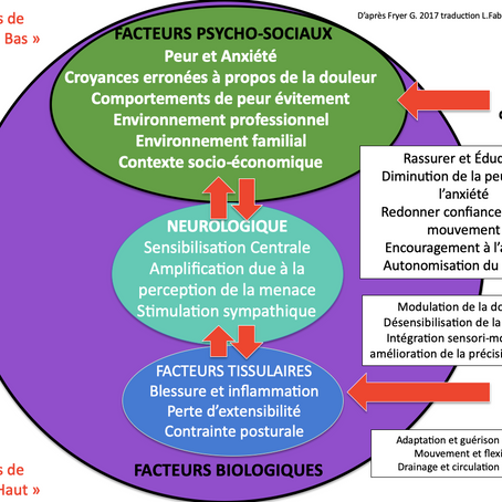 Le modèle biopsychosocial : son application à l'ostéopathie