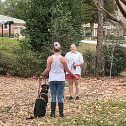 two mixed breed dogs who have not been able to be around other dogs successfully doing so after a board and train at 16 paws