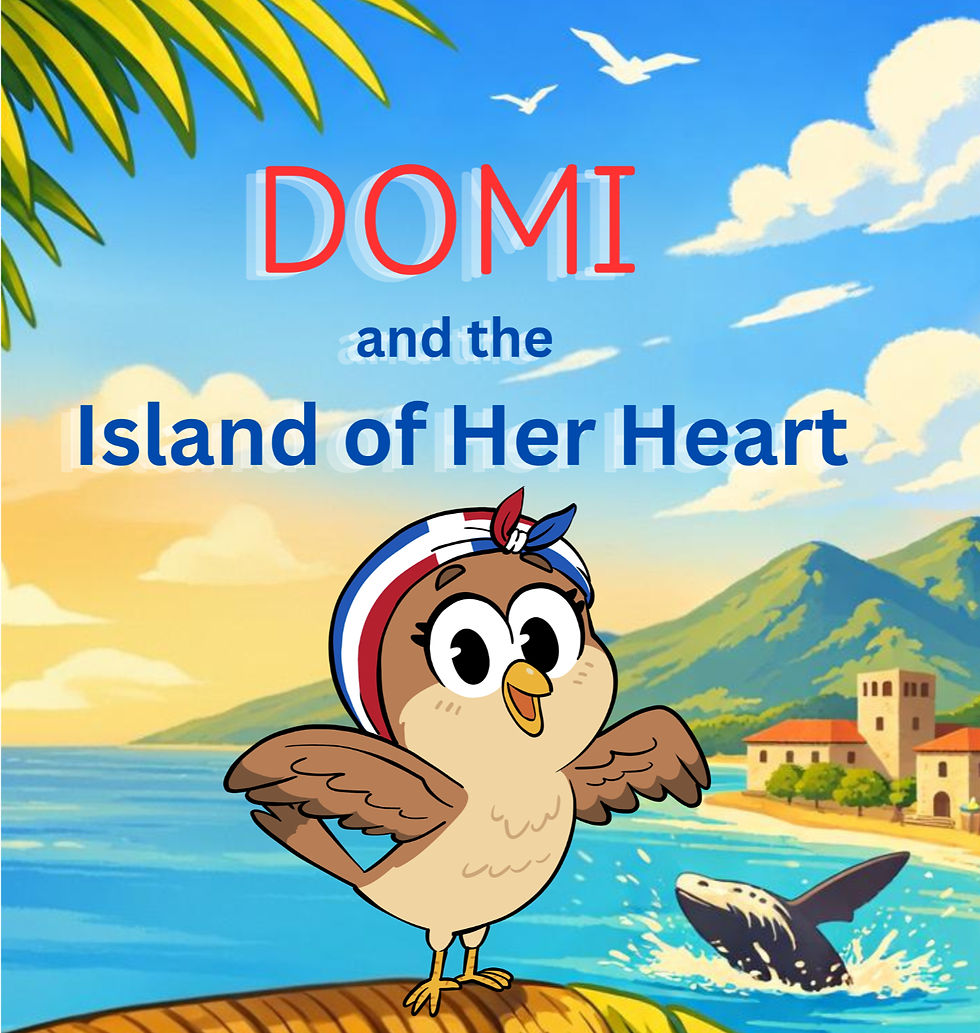 Domi - Cover First Edition (7.26_edited.jpg