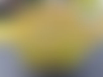 【行ってみた】北区の魅力が満載!さいたま市北区民まつりに行ってきました✨