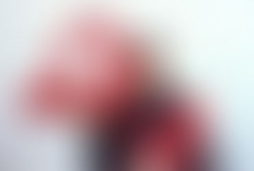 Рец. на в-ку: Леонид Тишков. В поисках чудесного.