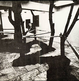 1991 Машина в лесу