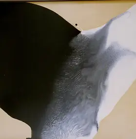 1961 Михнов Бабочка. Тушь, нитроэмаль. 1961, paper, 60 x 80 сm