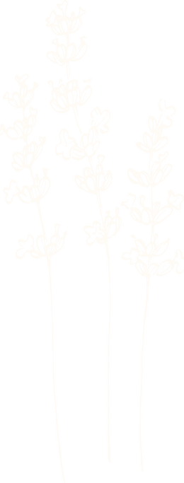 Lavendel Priorität 1_offwhite.png