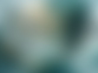 formation communication animale