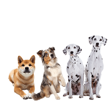 Brown Feminine Fashion Mystery Box Instagram Post (6).png