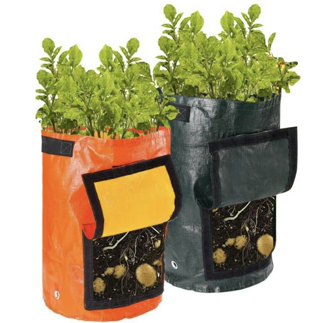 Eco friendly growbag with viewing window made from recycled plastic