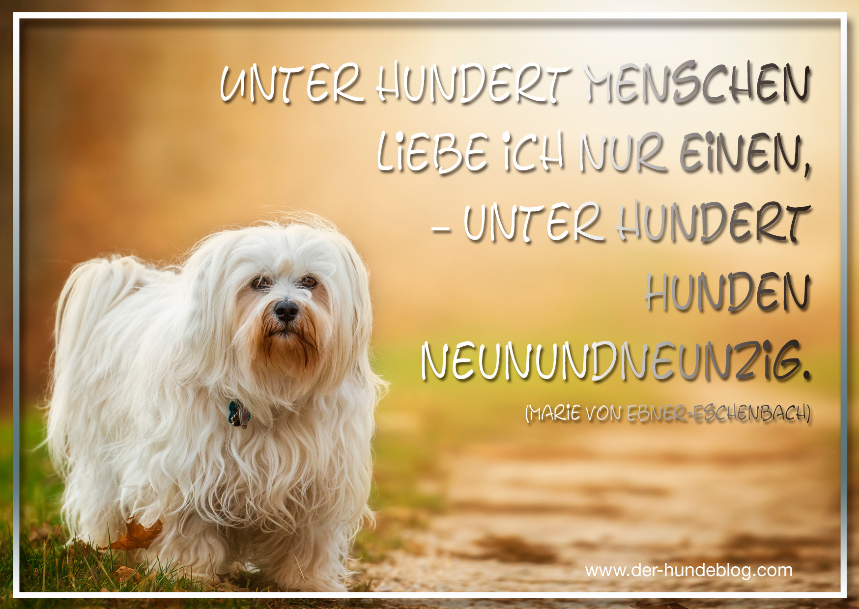 Der Hundeblog I Hundesprüche Und Zitate