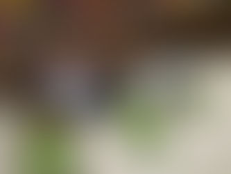 わっしーヨガ10月の様子と11月、12月の予定