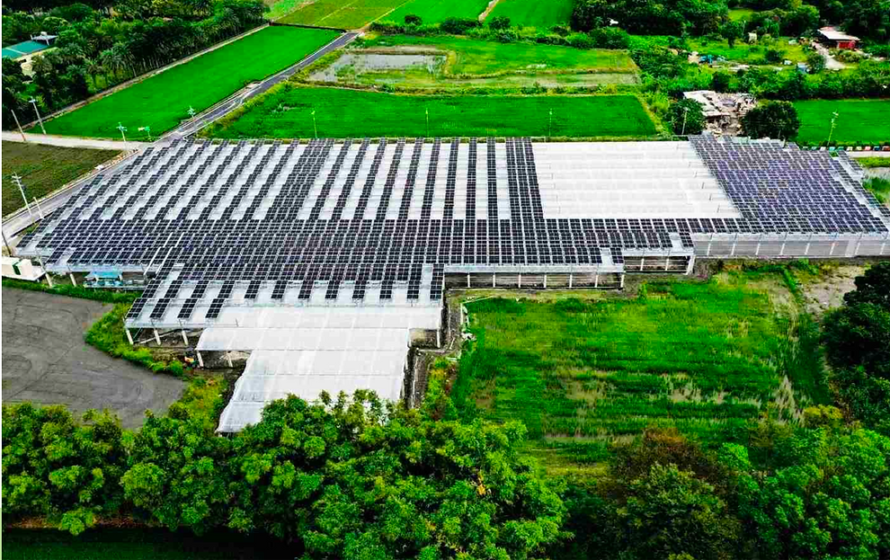 截圖 2026-02-25 晚上9.19_edited.png