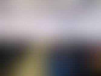 SEGUNDA JORNADA DE SIMPOSIO EN IGUAZU