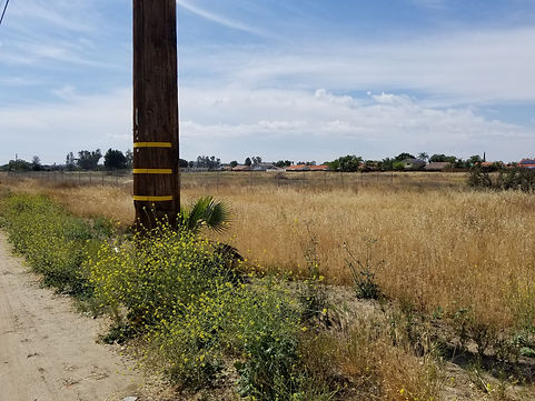 Resized_20190511_150129.jpeg