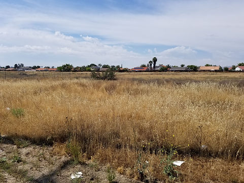 Resized_20190511_150118.jpeg