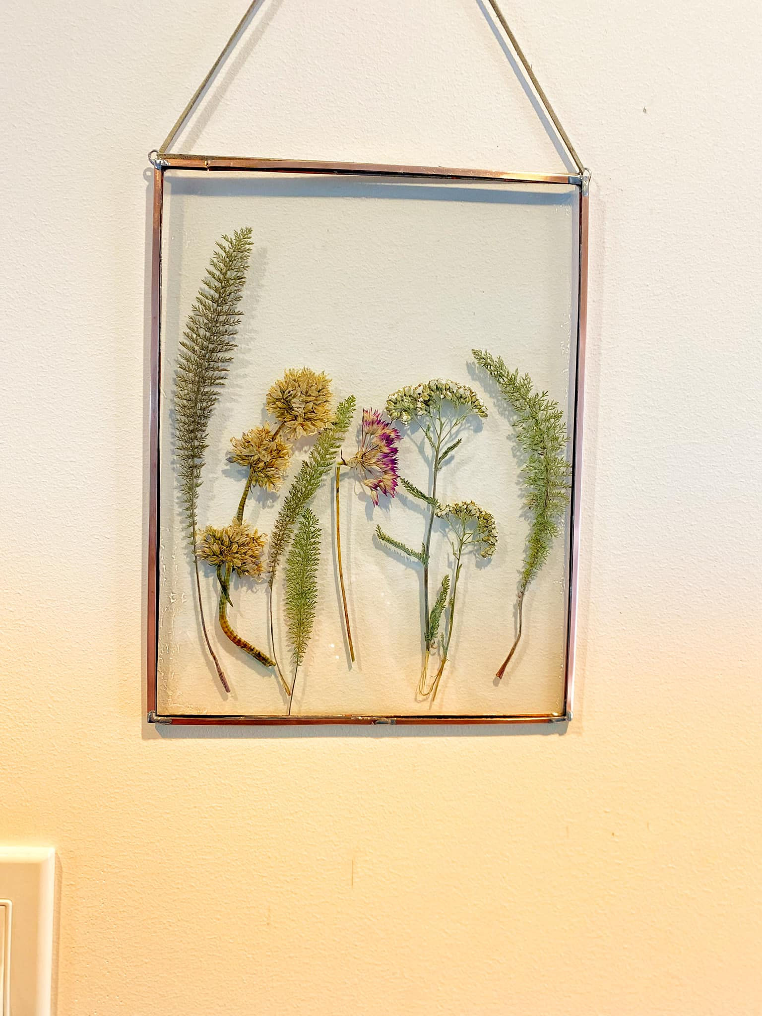 Pressed Flowers and Foliage