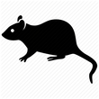 rodent transparent icon.png