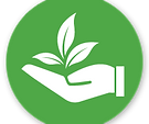 Environmentally friendly pest control services