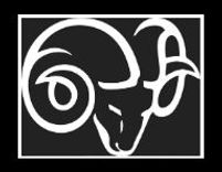 ram.JPG