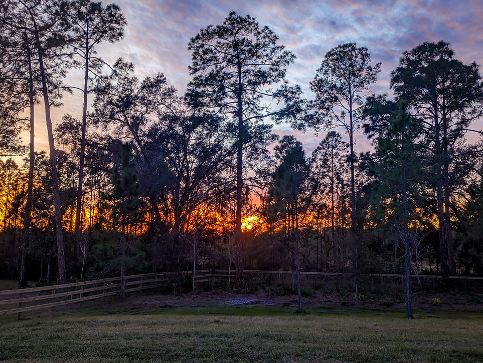 Contact Us Westwood Estates