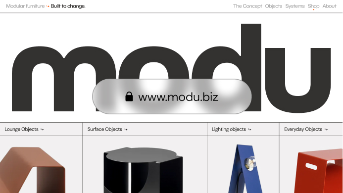 Website and domain for www.mod.biz