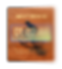 Wix custom component of a countdown