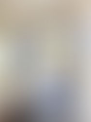 Plantation Shutter