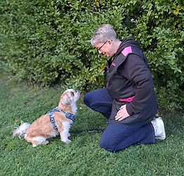 WhatsApp Image 2023-10-27 at 18.47_edite