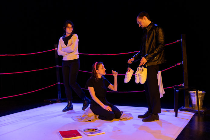 Photo du spectacle Zébrures la face cachée des HPI