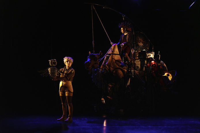 Photo du spectacle À dos de chameau