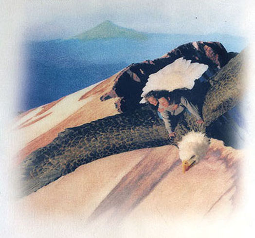 Couple Flying a Bald Eagle over Volcano Country