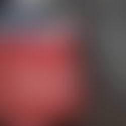 Nuova Apertura per i FANCE nella bellissima FORLÌ