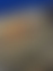 FIERA DI SANTA LUCIA, martedì 13 Dicembre 2022