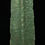 Thumbnail: Ancient Luristan decorated Bronze Spearhead