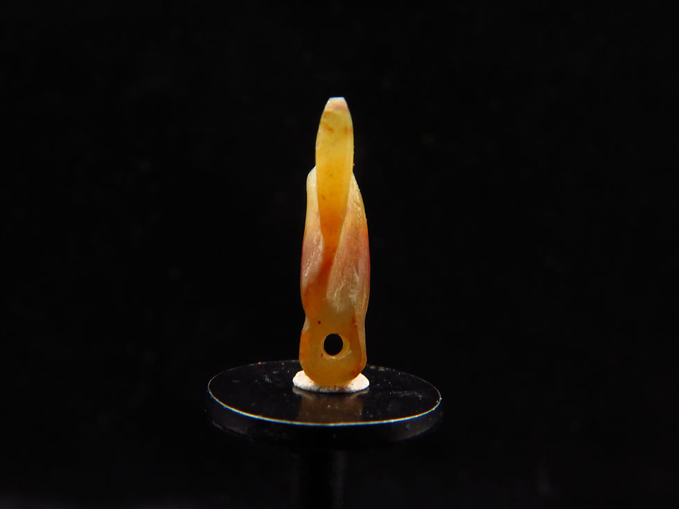 Thumbnail: Ancient Egyptian decorated Carnelian Fly/Ofef amulet