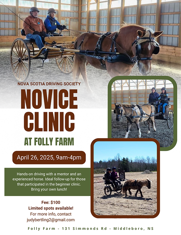 NOVICE CLINIC AT FOLLY FARM.png