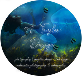 ataylordesign fb pro pic.jpg