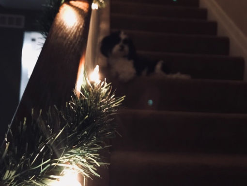 Spending the Holidays away from Family
