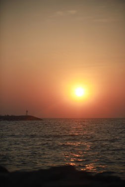 IMG_5496.JPG
