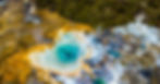 ree