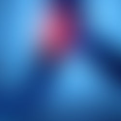 Everything You Need to Know About Sciatica Pain & How to Relieve It