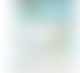 COMUNICARÁ OCÉANOS/DIVIDE OPINIONES: EL CANAL DEL NICARAGUA