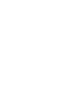 Agencia de Noticias Científicas en Latinoamérica