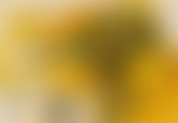 La distorsión de la memoria