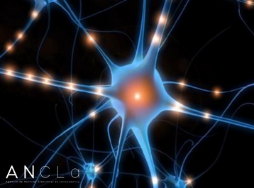 La vía de transformación: célula-----neurona