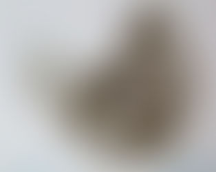 La fragilidad del humano