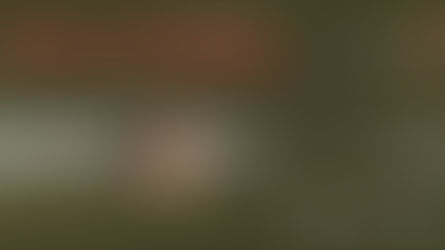 Las Onças Pintadas del Río Cuiabá