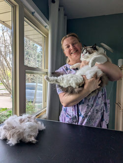 desheadding cats